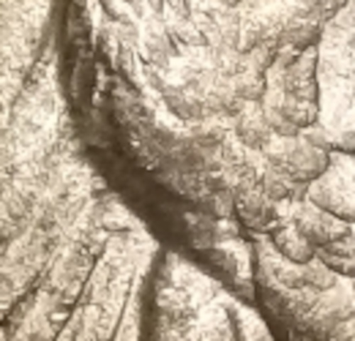1946-S-Walking-Liberty-Half